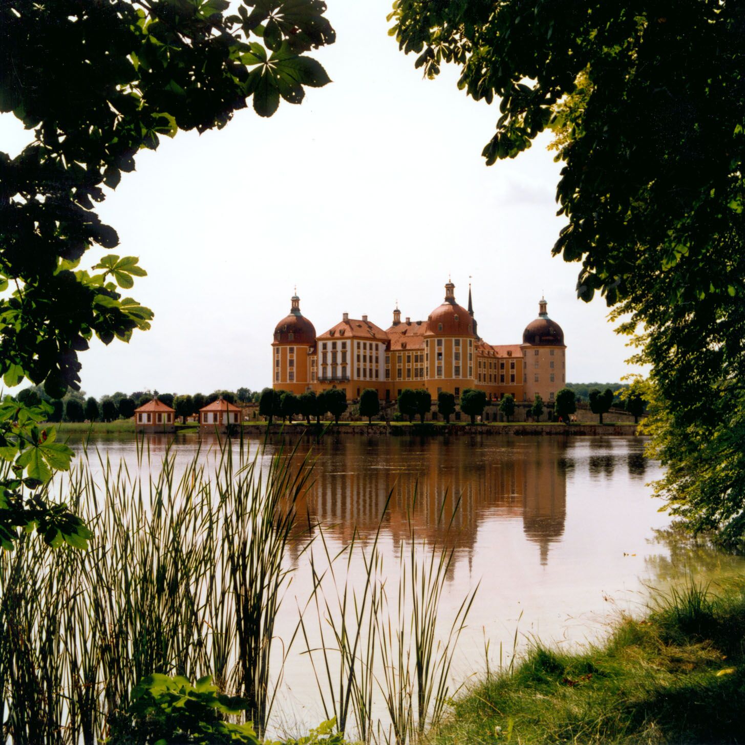 Schloss Moritzburg